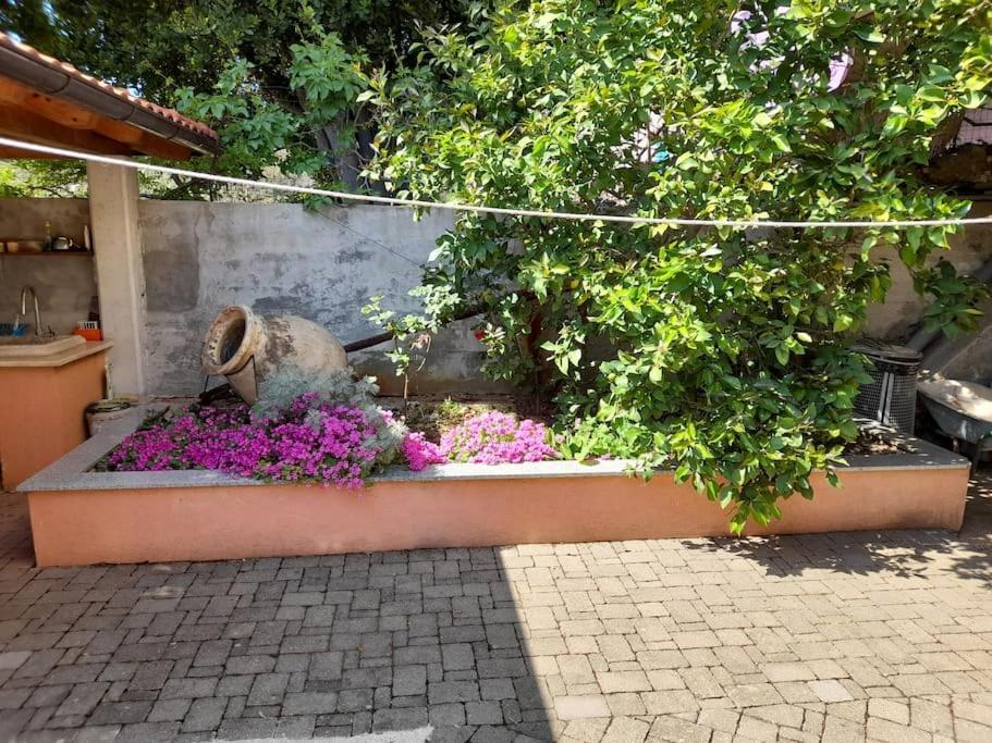 Apartmani Nedjeljko Čunski Esterno foto